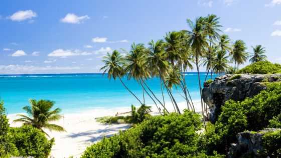 A Brief Look at the Benefits of Island Life