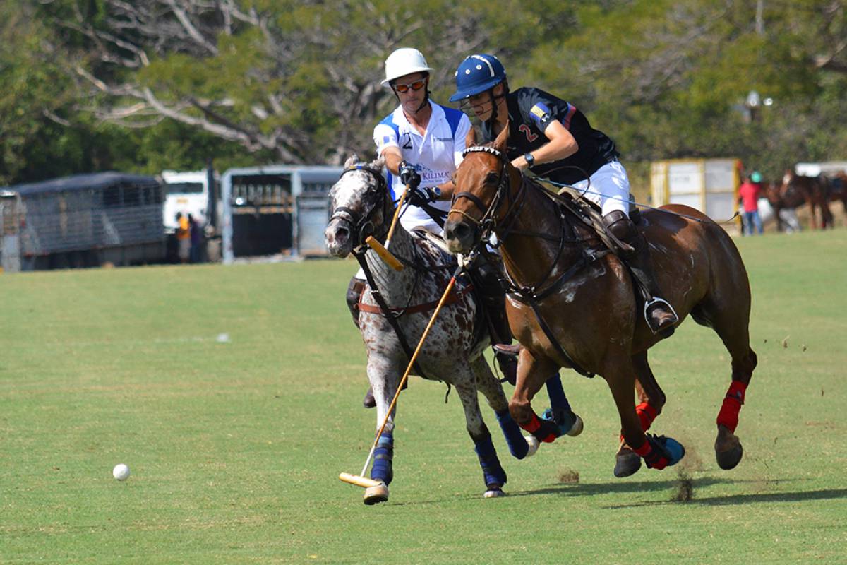 Barbados Polo