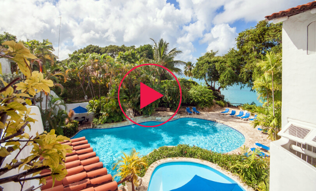 Hibiscus Video