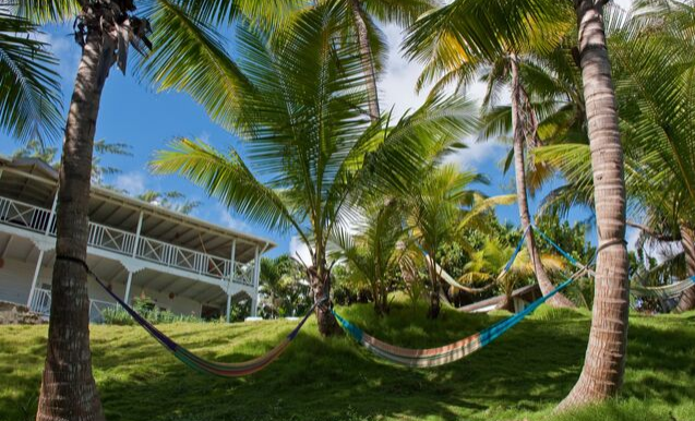 Eco Lifestyle & Lodge