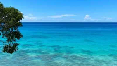 whats-daily-life-like-working-in-barbados