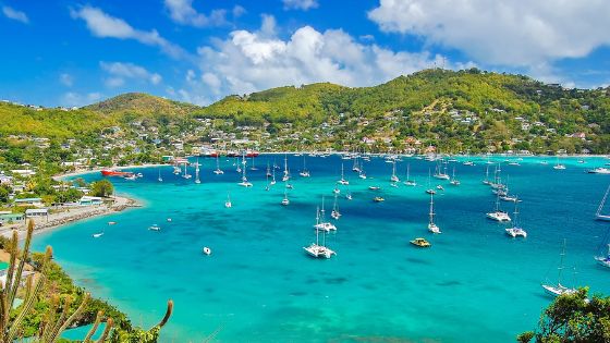 blog_what-to-know-about-the-barbados-luxury-real-estate-market