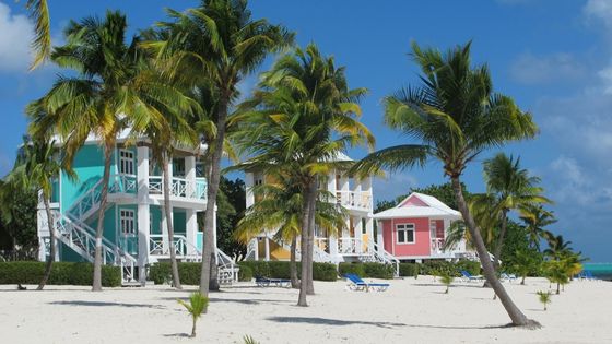 blog_5-essentials-to-pack-for-your-long-term-rental-in-barbados_TerraLuxury-169403-Rental-in-Barbados